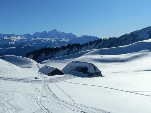 Appartement Le Praz de Lys , 2 pièces, 6 personnes - photo_1011883474604
