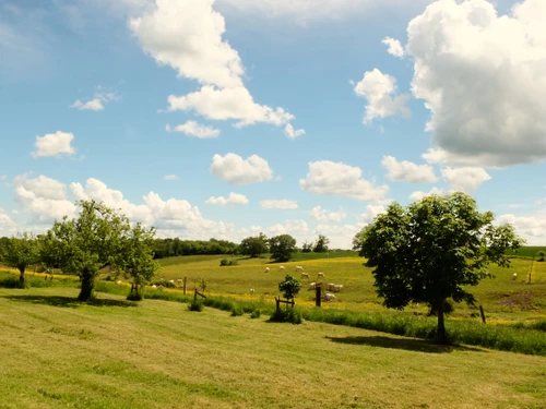 Gîte Limon, 4 pièces, 6 personnes - photo_1011695365063