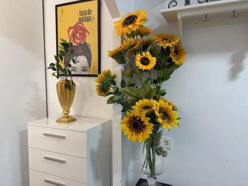 Apartment Málaga, 1 bedroom, 4 persons - photo_17857266472