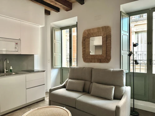 Studio Madrid, studio flat, 4 persons - photo_1012030155328