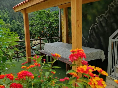 Maison Gerês, 6 pièces, 11 personnes - photo_1012030553446