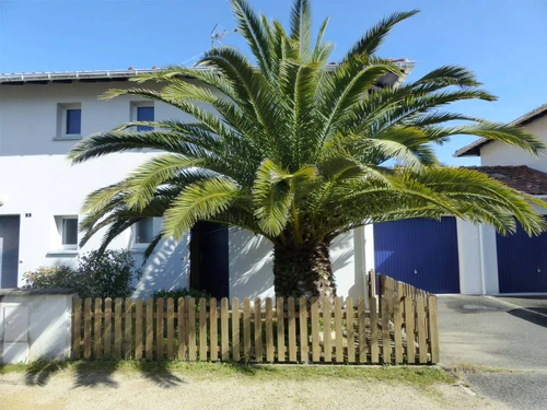 Maison Capbreton, 3 pièces, 4 personnes - photo_1012031277220
