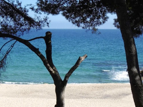 Ferienwohnung Miami Platja, 2 Schlafzimmer, 3 Personen - photo_1012031896142