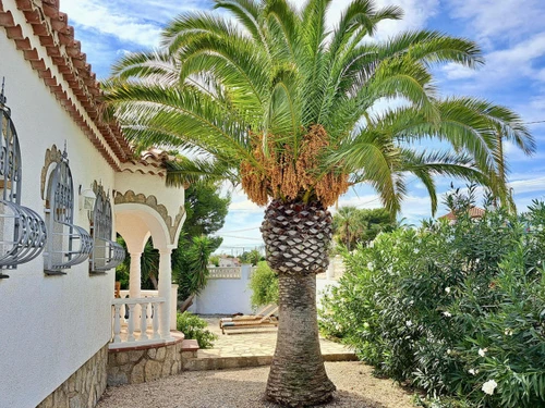 Ferienhaus Miami Platja, 3 Schlafzimmer, 5 Personen - photo_1012031898521