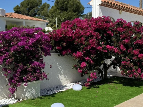 Ferienhaus Miami Platja, 3 Schlafzimmer, 6 Personen - photo_1012031899019