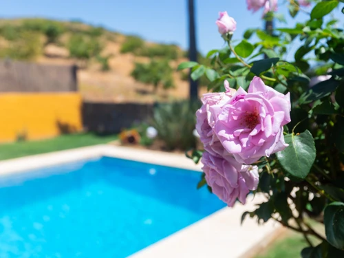 Villa Mijas, 4 Schlafzimmer, 8 Personen - photo_1011964257816
