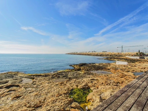 Apartment Torrevieja, 2 bedrooms, 4 persons - photo_1012040130670