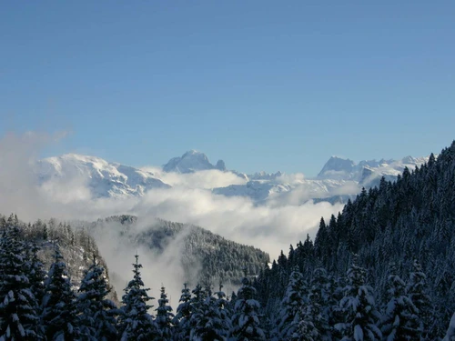 Studio Le Praz de Lys , 1 pièce, 4 personnes - photo_1011883460835