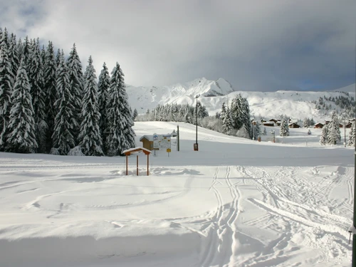 Studio Le Praz de Lys , 1 pièce, 4 personnes - photo_1011883470824