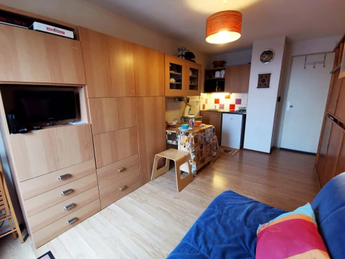 Studio Les Adrets-Prapoutel, studio flat, 3 persons - photo_20176129845