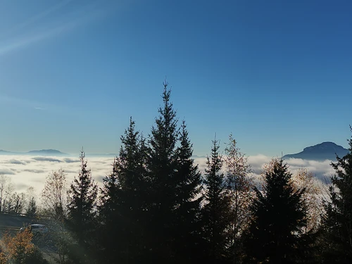 Appartement Les Adrets-Prapoutel, 2 pièces, 5 personnes - photo_20176131739