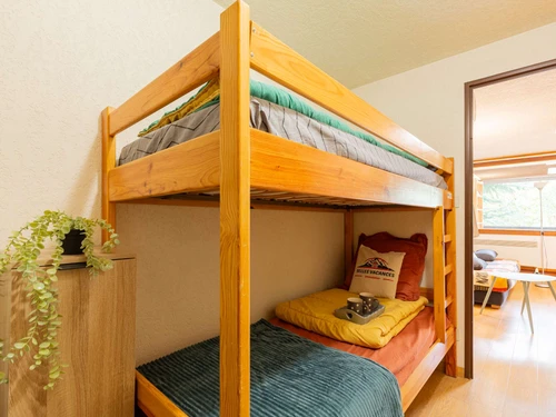 Studio Saint-Lary-Soulan, studio flat, 4 persons - photo_1012042143096