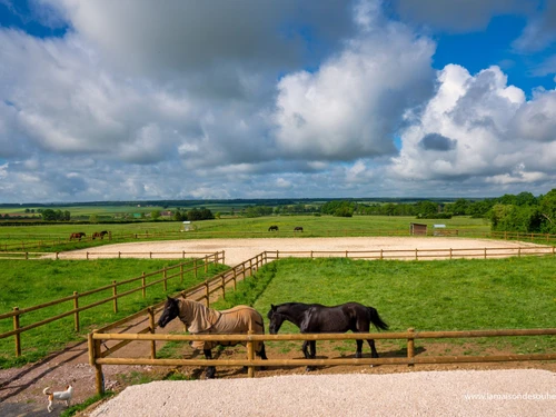Gîte Souhey, 3 pièces, 4 personnes - photo_1011837823082