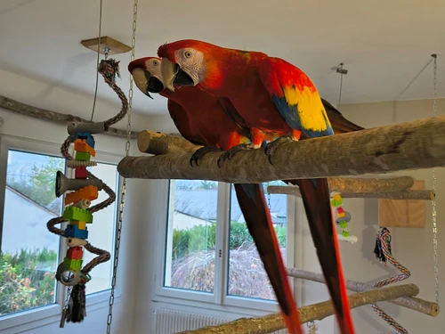 Gite La Flèche, 2 bedrooms, 4 persons - photo_1012018747082