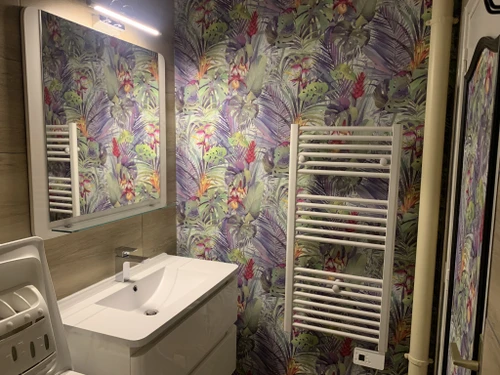 Apartamento La Roche-Posay, 1 dormitorio, 5 personas - photo_1012044533684