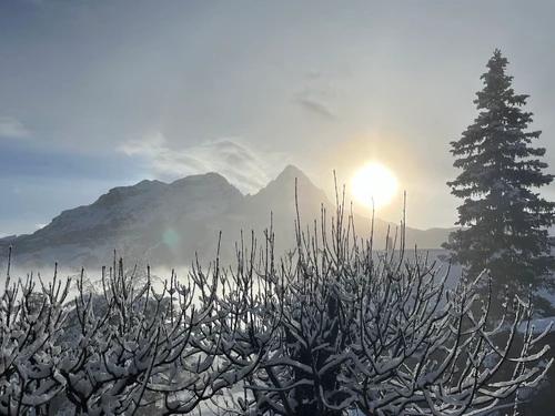 Appartement Pra-Loup, 2 pièces, 6 personnes - photo_15940619508