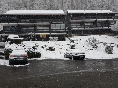 Apartment Cauterets, 1 bedroom, 5 persons - photo_1011678408279