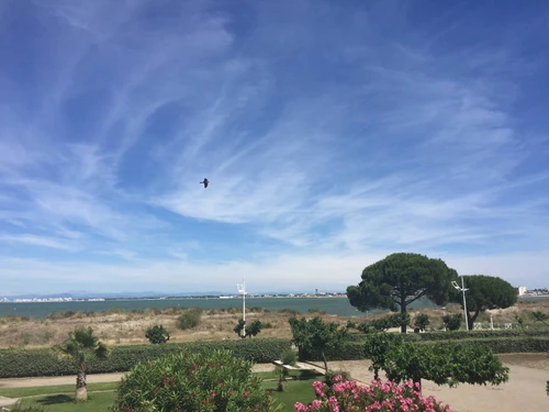 Estudio Le Grau-du-Roi, estudio, 4 personas - photo_1011739849550