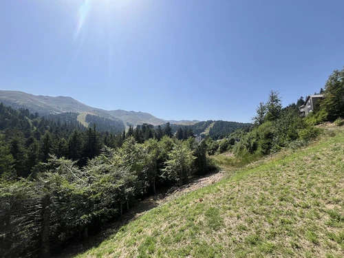 Apartment Le Lioran, 2 bedrooms, 6 persons - photo_1011696759787