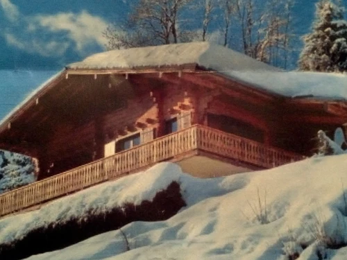 Ferienwohnung Les Gets, 1 Schlafzimmer, 4 Personen - photo_19581432368