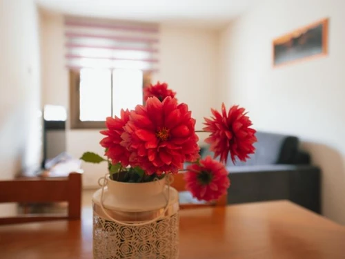 Apartment Montardit de Dalt, 1 bedroom, 2 persons - photo_1012055487378