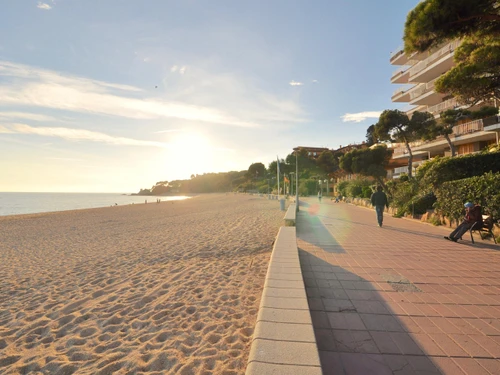 Appartement Lloret de Mar, 2 pièces, 4 personnes - photo_17558627533