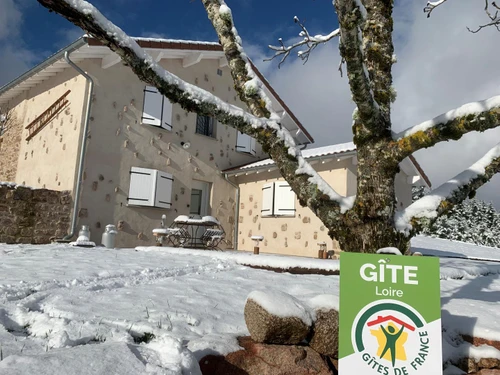 Gîte Saint-Priest-la-Prugne, 3 pièces, 4 personnes - photo_1011759818457