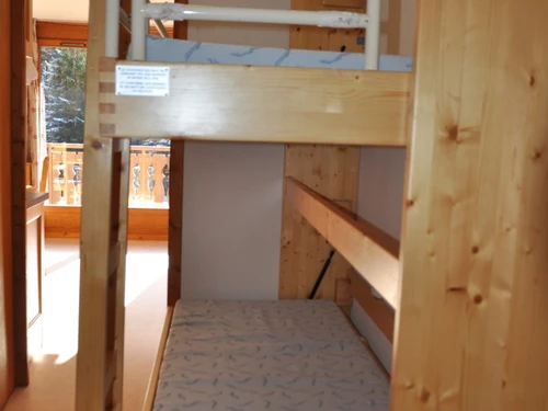 Apartamento Châtel, 1 dormitorio, 5 personas - photo_18385083280