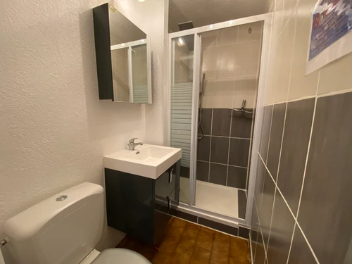 Studio Châtel, 1 pièce, 4 personnes - photo_18467152856