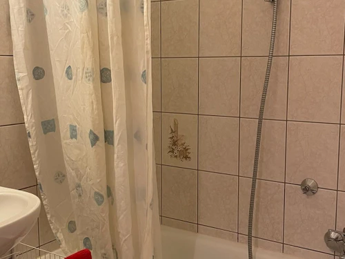 Studio Châtel, 1 pièce, 4 personnes - photo_18385084734