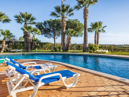 Appartement Albufeira, 2 pièces, 3 personnes - photo_1011865511486