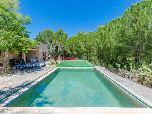 Maison Petra, 3 pièces, 4 personnes - photo_1011866173599