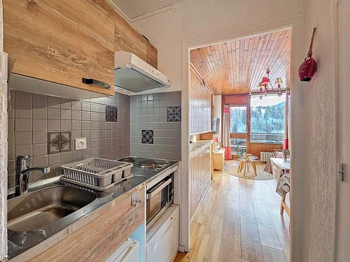 Studio La Clusaz, studio flat, 2 persons - photo_1012058067671