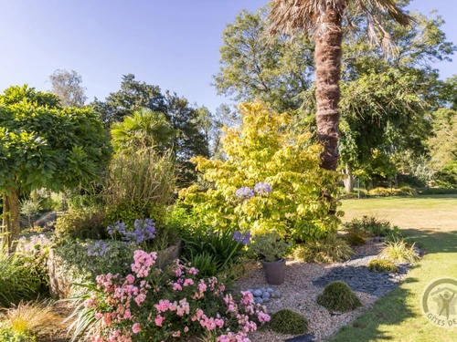 Gîte Sainte-Cécile, 2 pièces, 2 personnes - photo_1012067137215