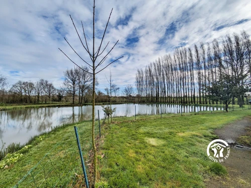 Gîte Loiron-Ruillé, 4 pièces, 6 personnes - photo_15084973659