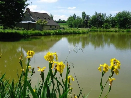 Gîte Loiron-Ruillé, 4 pièces, 6 personnes - photo_15084973659