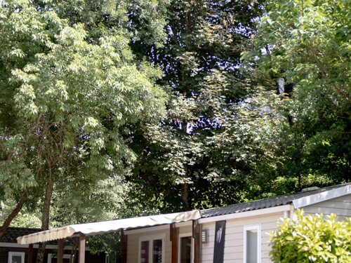 Camping Salavas, 2 bedrooms, 5 persons - photo_1012068410269