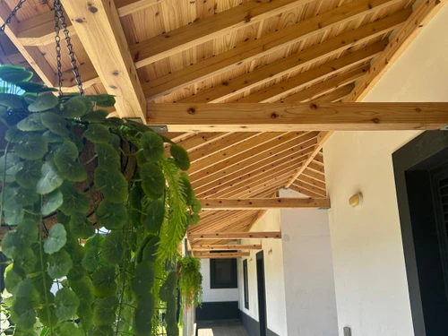 Appartement Capelas, 2 pièces, 3 personnes - photo_1012069727824