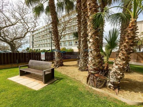 Appartement Roses, 2 pièces, 4 personnes - photo_1011503388839