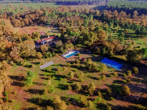 Villa Castets, 20 pièces, 16 personnes - photo_1011723065505