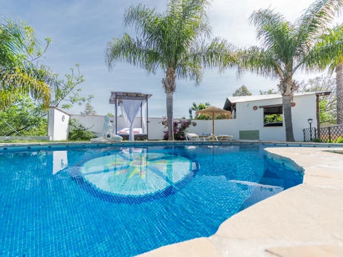 Villa Alhaurín el Grande, 4 pièces, 6 personnes - photo_1012072093501