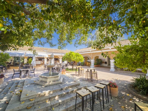 Ferienwohnung Alhaurín de la Torre, 2 Schlafzimmer, 3 Personen - photo_1012072153448