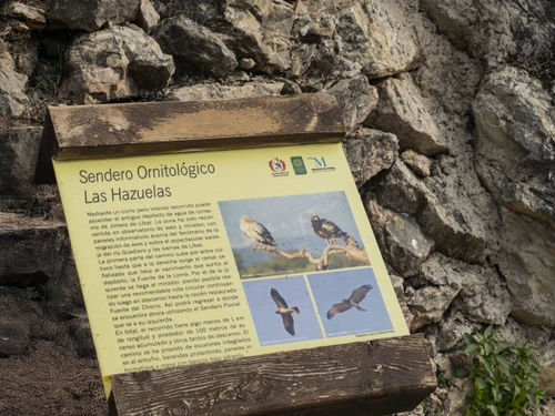 Villa Jimera de Líbar, 7 bedrooms, 19 persons - photo_1012072158051