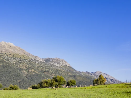 Villa Jimera de Líbar, 7 bedrooms, 19 persons - photo_1012072158051