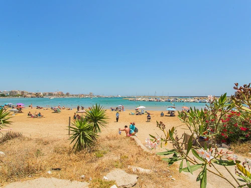 Apartment Torrevieja, 2 bedrooms, 4 persons - photo_1012072188534
