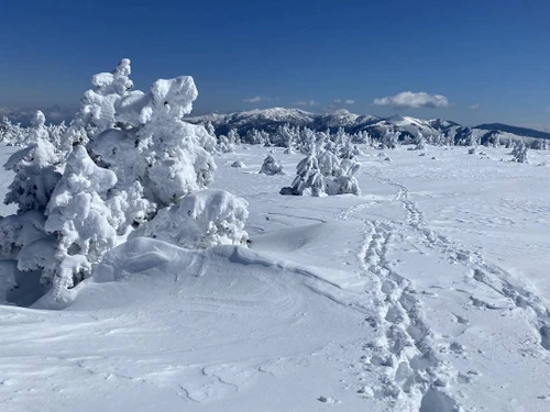 Chalet Les Angles, 3 pièces, 6 personnes - photo_1012073824728