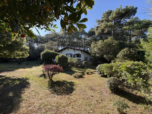 Villa Lège-Cap-Ferret-Le Canon, 4 pièces, 7 personnes - photo_1011993475802