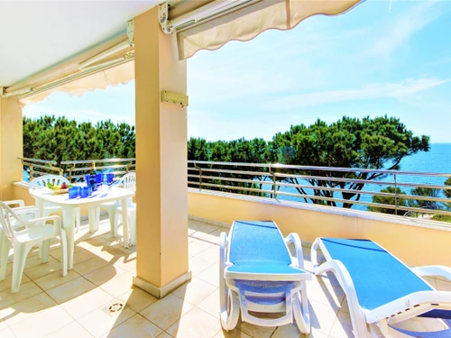 Appartement Roses, 3 pièces, 6 personnes - photo_1012078406858