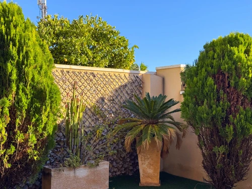 Gasthaus Torrevieja, 3 Schlafzimmer, 6 Personen - photo_1011865799708