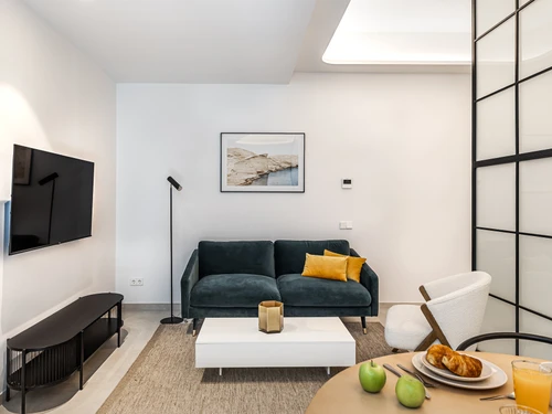 Apartment Madrid, 1 bedroom, 2 persons - photo_1012078691260